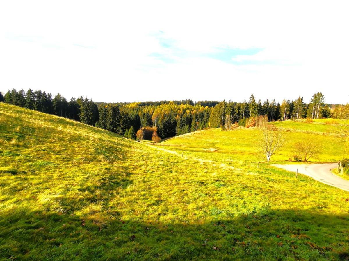 Ferienwohnung Am Bergmannsbrunnen Schönheide Exteriér fotografie