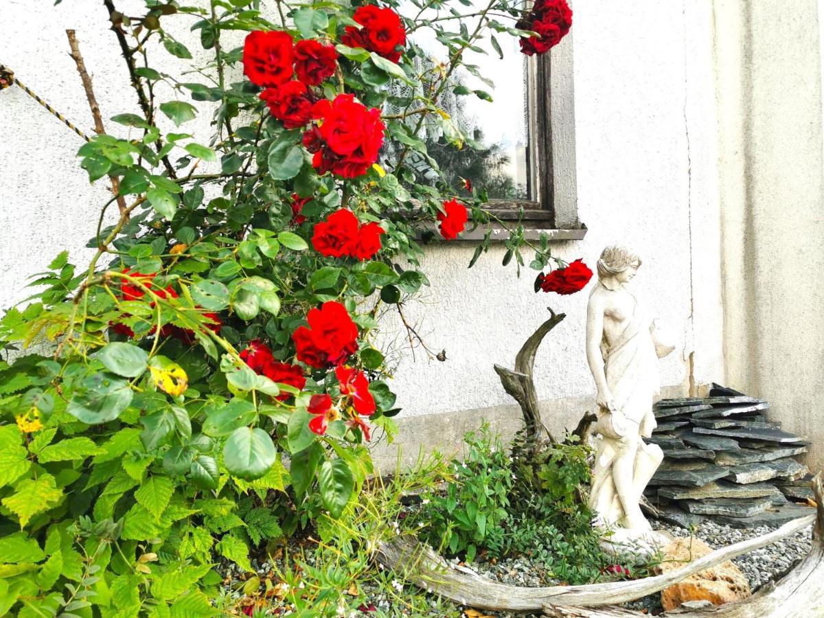 Ferienwohnung Am Bergmannsbrunnen Schönheide Exteriér fotografie